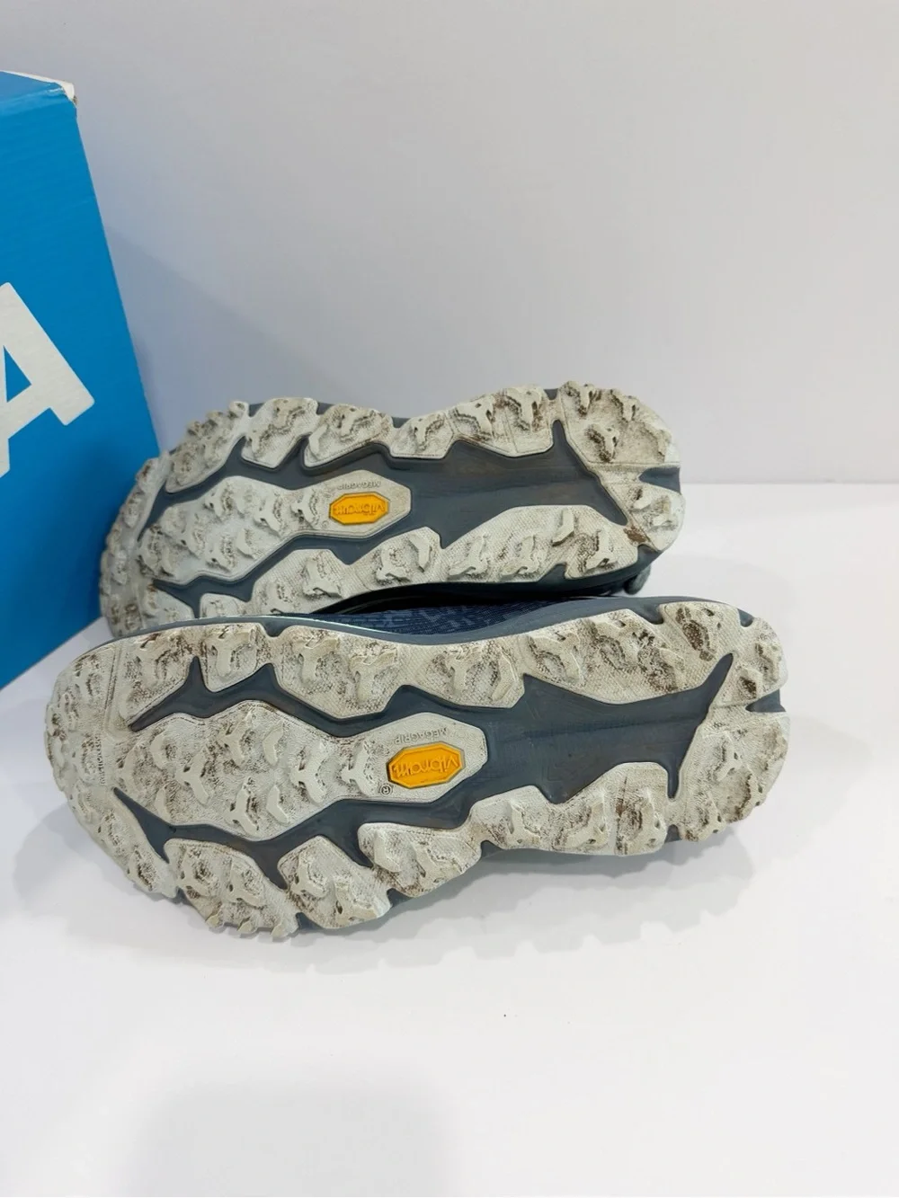 Hoka One One Speedgoat 6 GTX Women’s Shoes